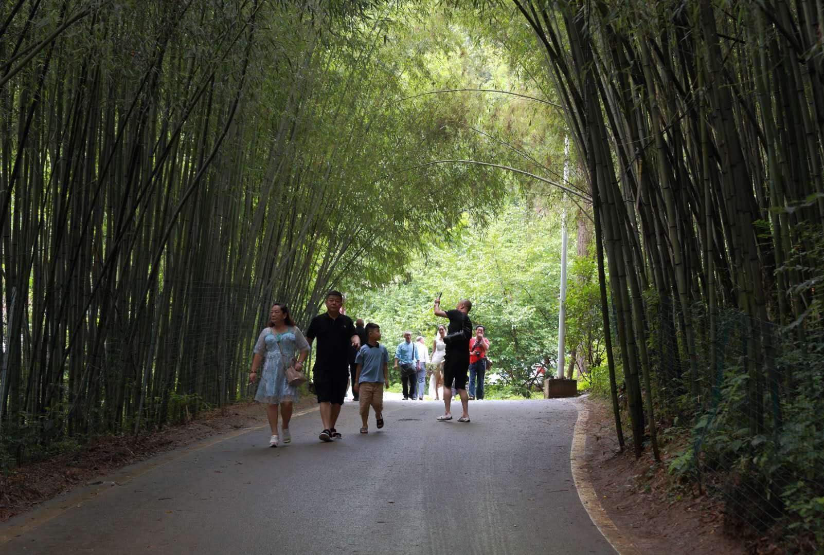 全家最新優(yōu)惠攻略，一步步教你享受最大優(yōu)惠折扣！