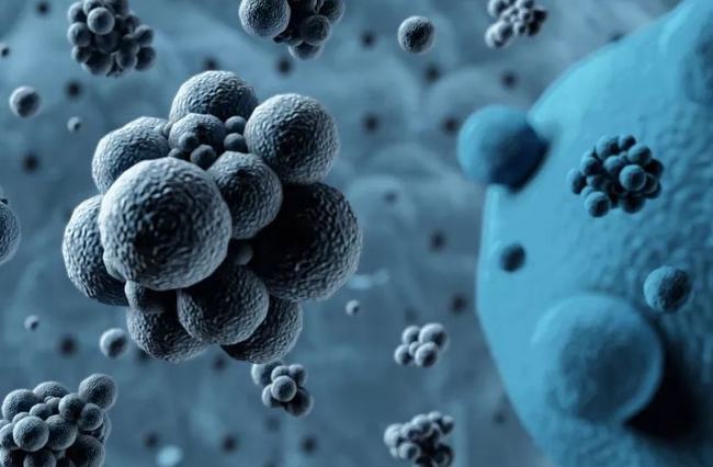 病毒擴(kuò)散最新情況，自然探險(xiǎn)之旅尋求內(nèi)心平和之地