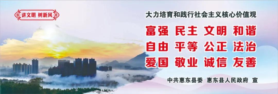 惠州肺炎最新動(dòng)態(tài)，小巷深處的獨(dú)特小店背后的故事