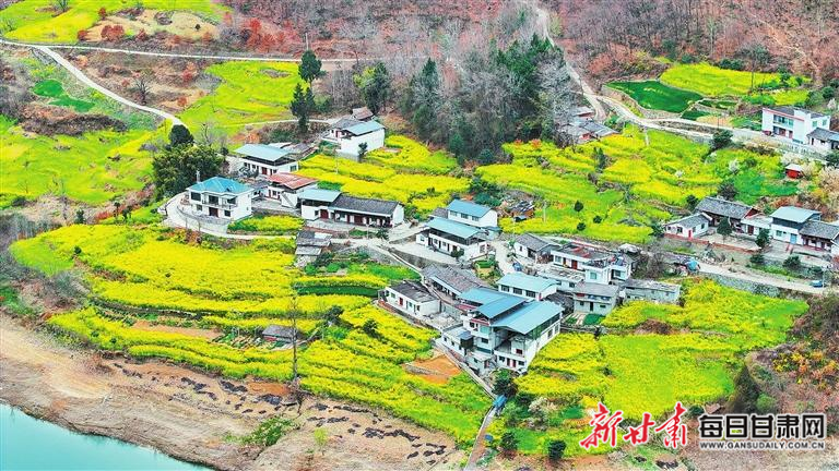 揭秘文縣，歷史背景、重大事件與時代地位全景展示