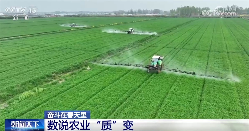 最新農(nóng)業(yè)農(nóng)村發(fā)展，播種希望，收獲自信與成就感