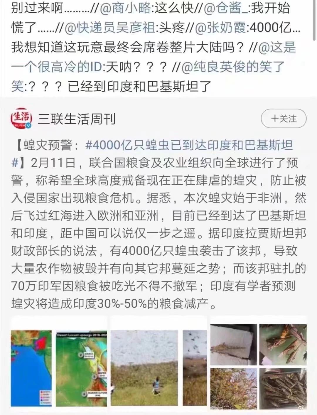 蝗蟲最新動(dòng)態(tài)，防治與監(jiān)測的全面指南