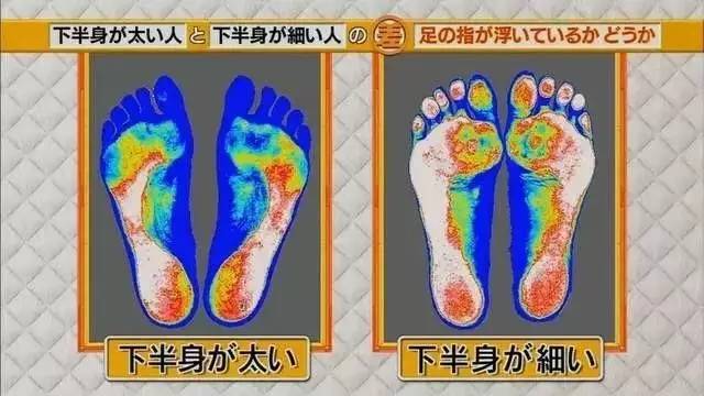 最新地趾論述，探索、爭議與觀點(diǎn)綜述