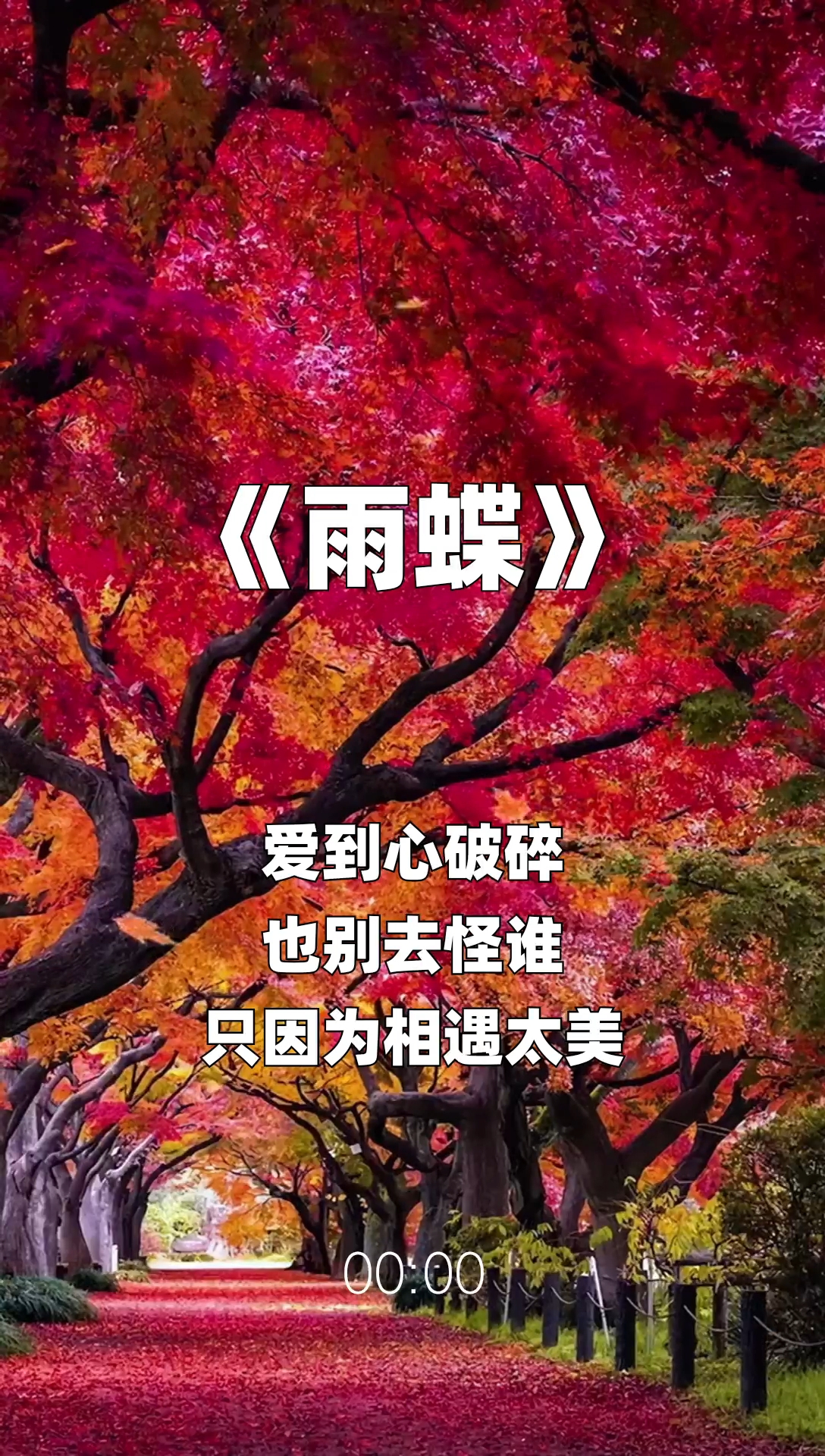 雨蝶最新步驟指南，如何完成任務(wù)或?qū)W習(xí)技能？