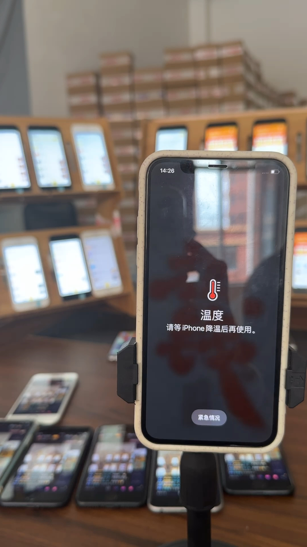 蘋果最新直播，科技與文化的完美融合盛宴