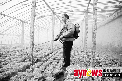 最新農(nóng)藥抽檢結(jié)果出爐，守護農(nóng)田安全，你我他的共同責任