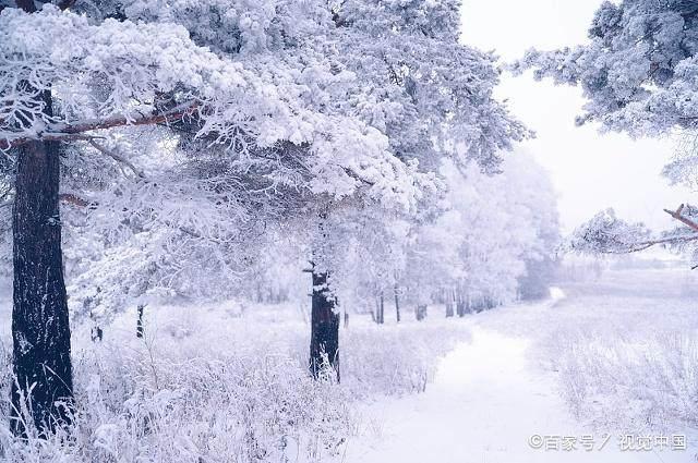 工礦燈具 第56頁