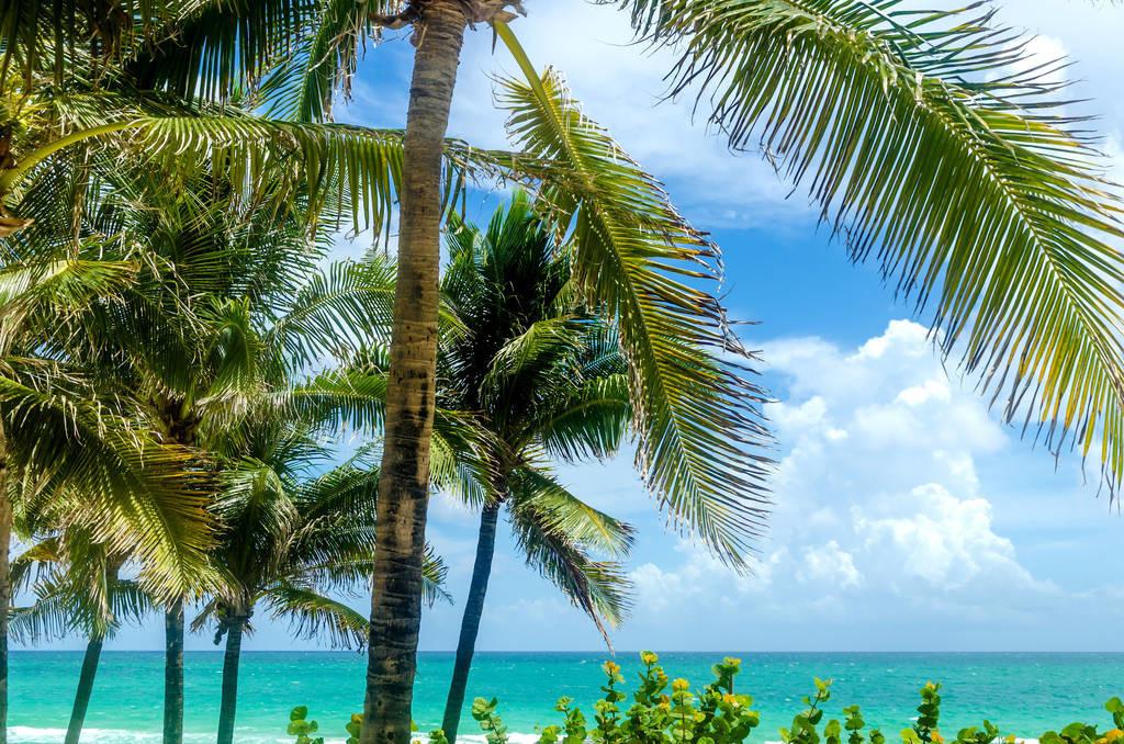 科技重塑旅行體驗(yàn)，最新付費(fèi)機(jī)場(chǎng)概覽