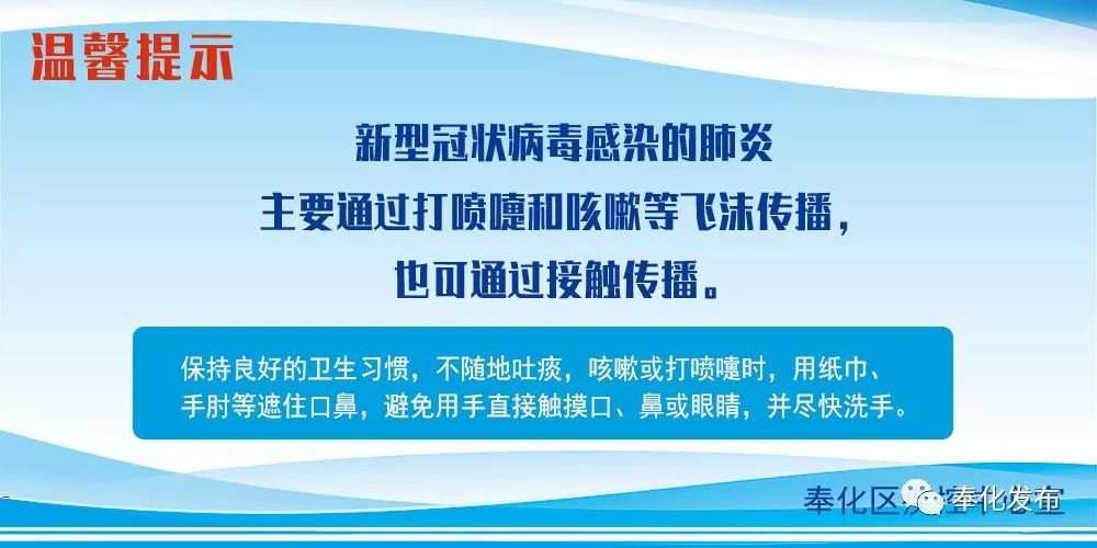 余姚最新確診背后的自然探索之旅，重拾心靈寧靜與平和