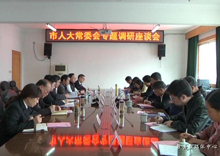 安徽歙縣最新動(dòng)態(tài)，小巷深處的驚喜