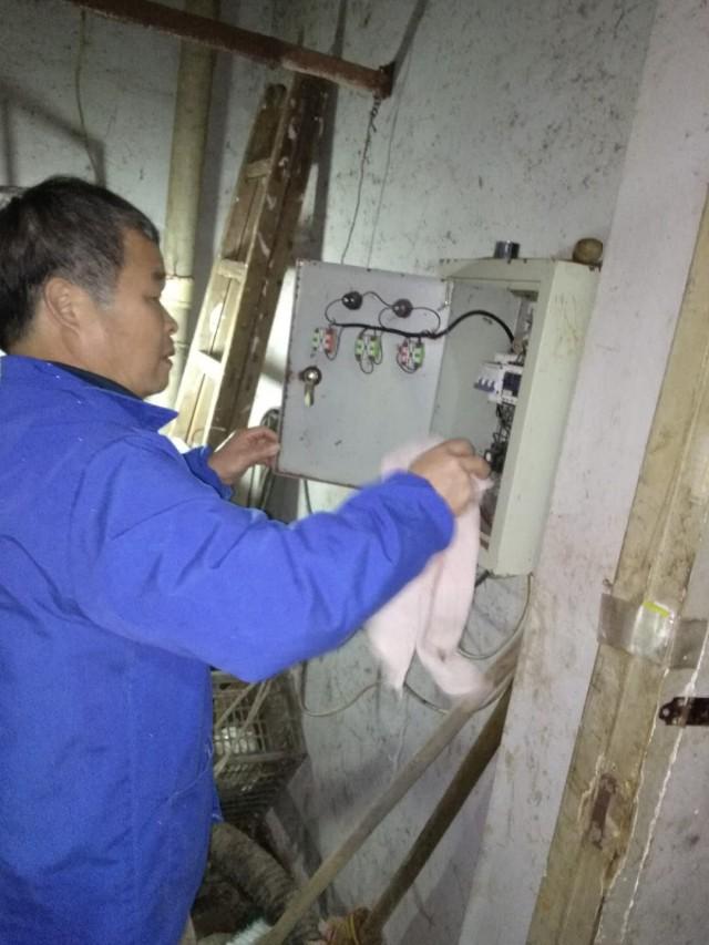 化糞池最新事件，心靈與自然的奇妙之旅