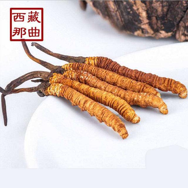 揭秘2025年蟲草最新價格，探尋小巷中的秘密行情！