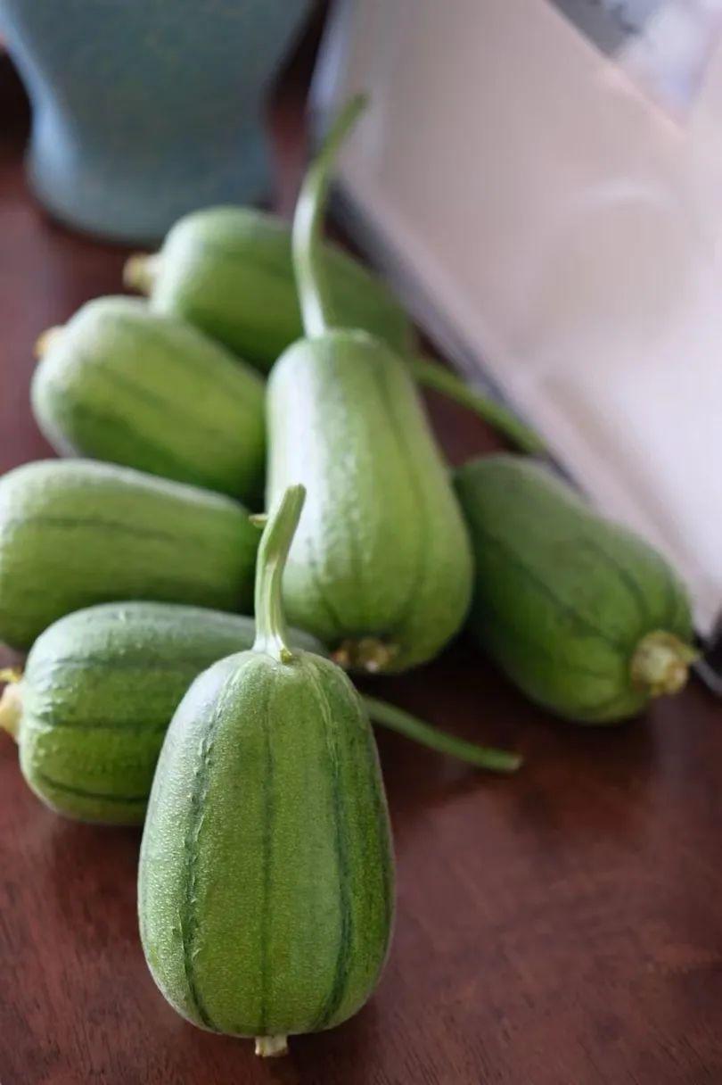 蘋果絲瓜最新版，全新升級(jí)魅力體驗(yàn)