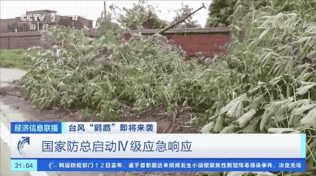 超強(qiáng)臺(tái)風(fēng)鸚鵡來襲，最新路徑動(dòng)態(tài)全解析???