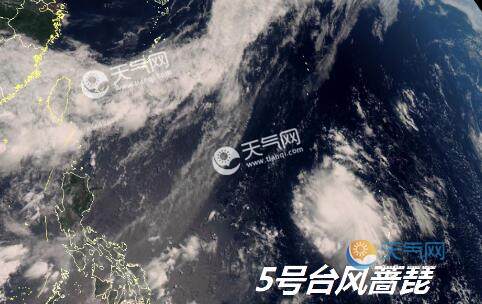 最新實時臺風風力查詢指南，風力信息及查詢步驟全解析