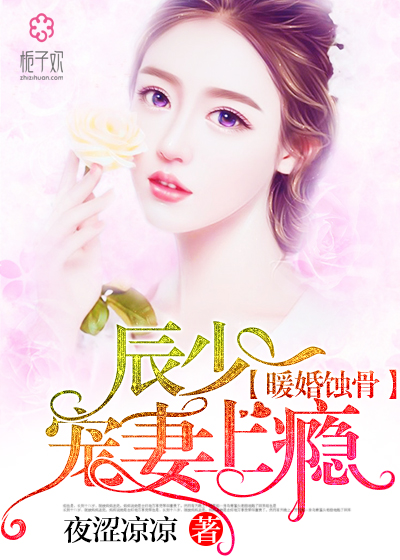 陸少寵上癮最新動態(tài)，日常趣事與真摯友情的獨特魅力