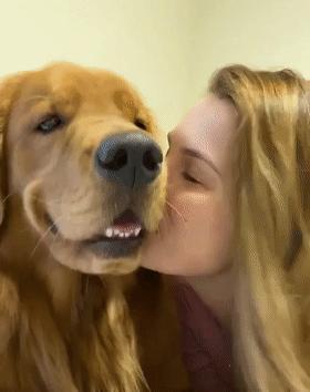 時(shí)代潮流還是陷阱？深度解讀最新趨勢(shì)背后的真相